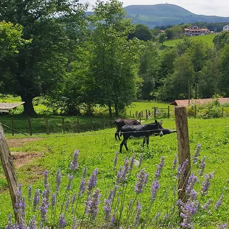 Dom wakacyjny Ene Chocoa Louhossoa