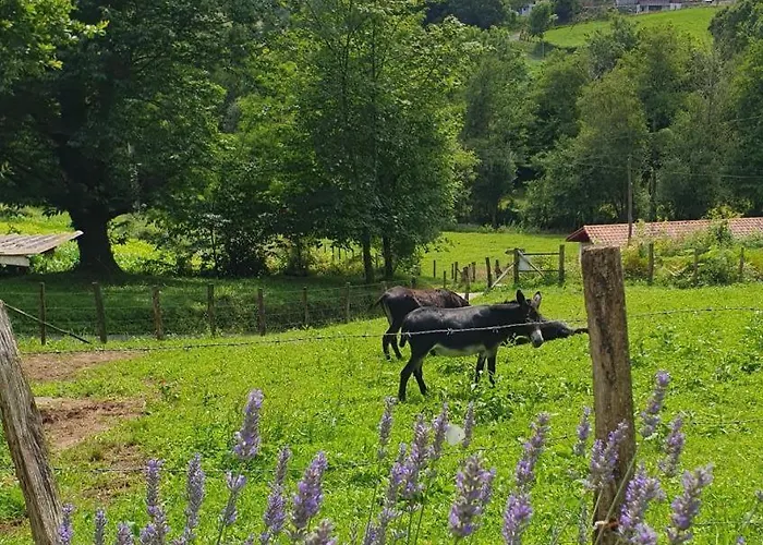 Сasa de vacaciones Ene Chocoa Louhossoa